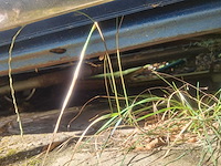Cheverolet el camino 350 cu 5.7 oldtimer - afbeelding 4 van  9