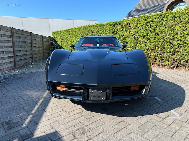 Chevrolet corvette c3 1982 - afbeelding 13 van  16