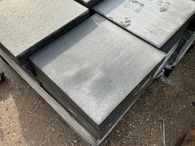 Chinese graniet (450x) - afbeelding 2 van  7