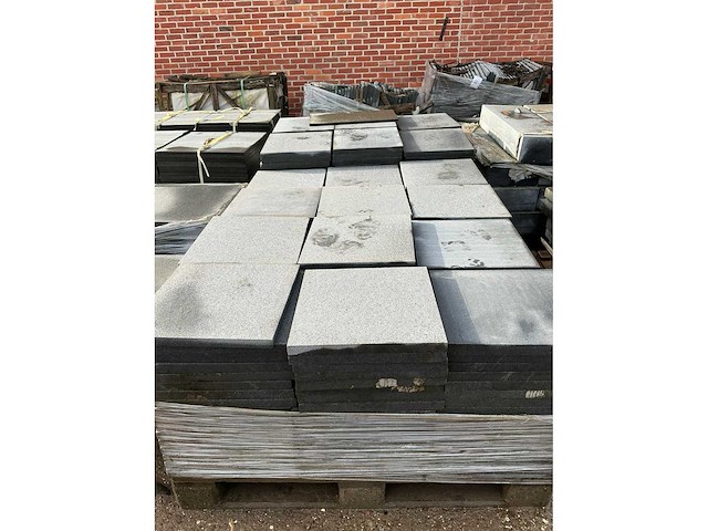 Chinese graniet (450x) - afbeelding 7 van  7