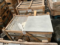 Chinese grijs natuursteen tuintegel - afbeelding 1 van  1