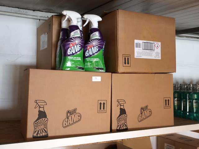 Cilit bang 12x750ml (plm 7) - afbeelding 1 van  4
