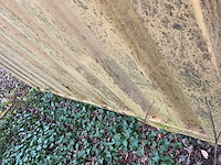 Cimc zeecontainer 40 voet - afbeelding 8 van  27