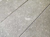 Cir di pietra ardennes grigio mat 10x40 cm tegel 34,48 m² - afbeelding 4 van  6