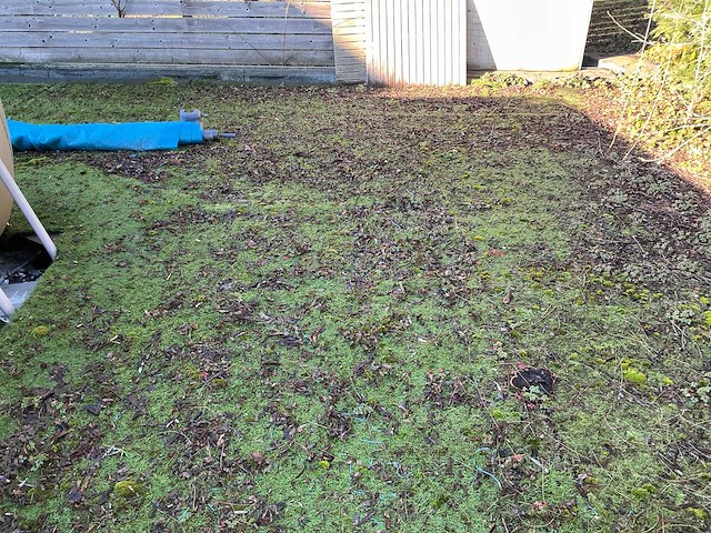 Circa 150m2 kunstgras - afbeelding 2 van  7