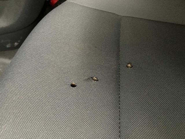 Citroën - berlingo - berlingo - bedrijfswagen - afbeelding 14 van  40