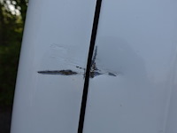 Citroen berlingo - afbeelding 9 van  18