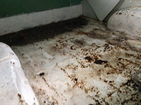 Citroën c15 pickup truck vintage auto's > 15 - afbeelding 6 van  7