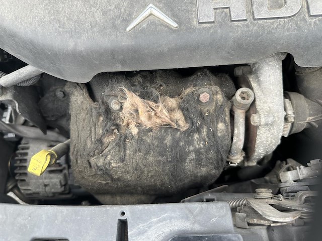 Citroen c3 1.4 hdi tentation,2008 - afbeelding 13 van  32