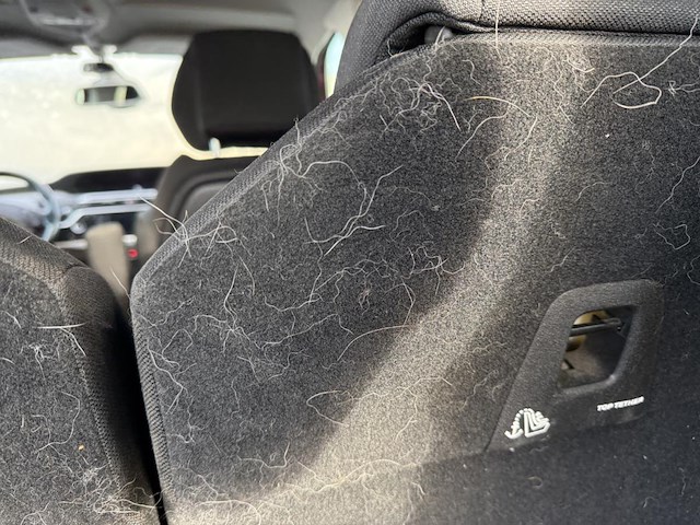 Citroen c4 spacetourer 1 s&s, 2018 - afbeelding 11 van  32