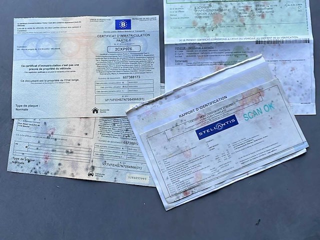 Citroën dubbele cabine jump bedrijfswagen - afbeelding 4 van  13