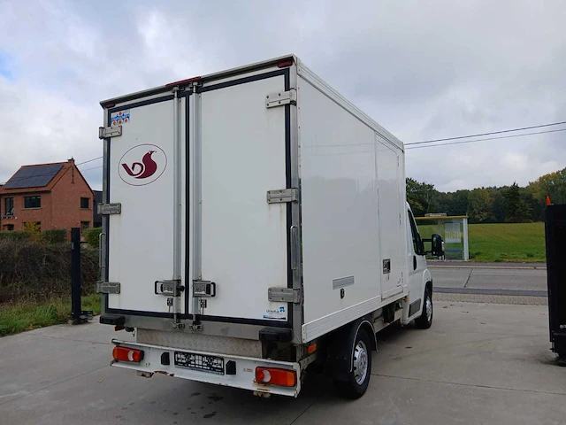 Citroën thermo king jumper - afbeelding 23 van  26