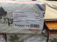 Clic vloer eiken ( 17 m2 ) - afbeelding 4 van  5