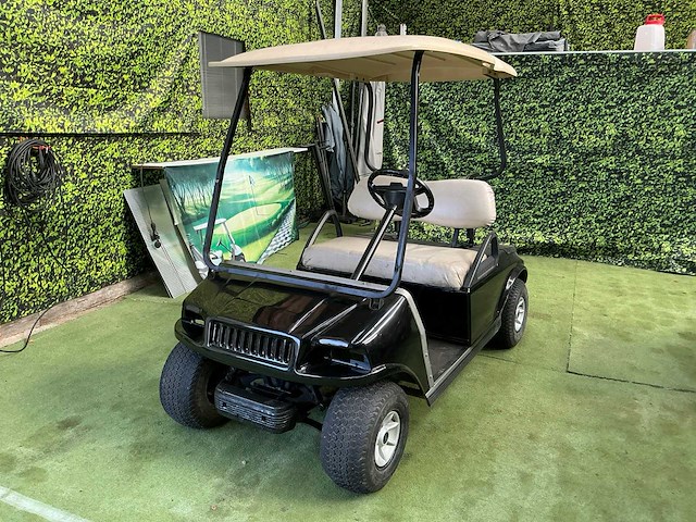 Clubcar ds golfkar - afbeelding 1 van  8