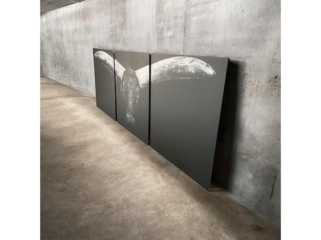 Cobra art - 3-luik "the longhorn" - afbeelding 1 van  5