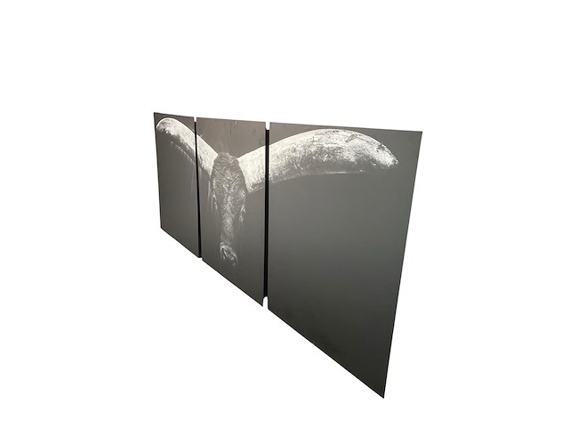 Cobra art - 3-luik "the longhorn" - afbeelding 2 van  5