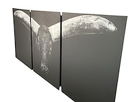 Cobra art - 3-luik "the longhorn" - afbeelding 2 van  5