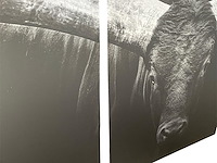 Cobra art - 3-luik "the longhorn" - afbeelding 3 van  5