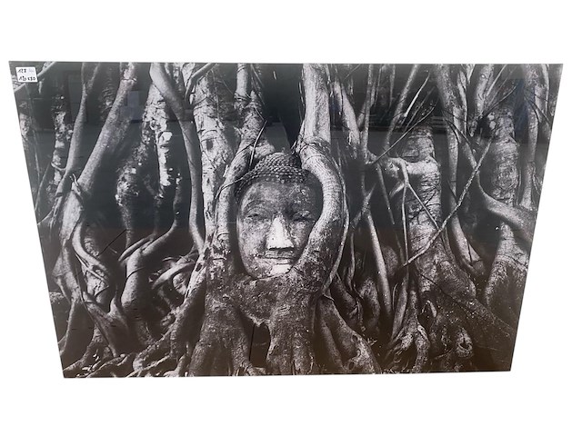 Cobra art - kader - 120 x 80 cm. - gn4746 - afbeelding 1 van  3