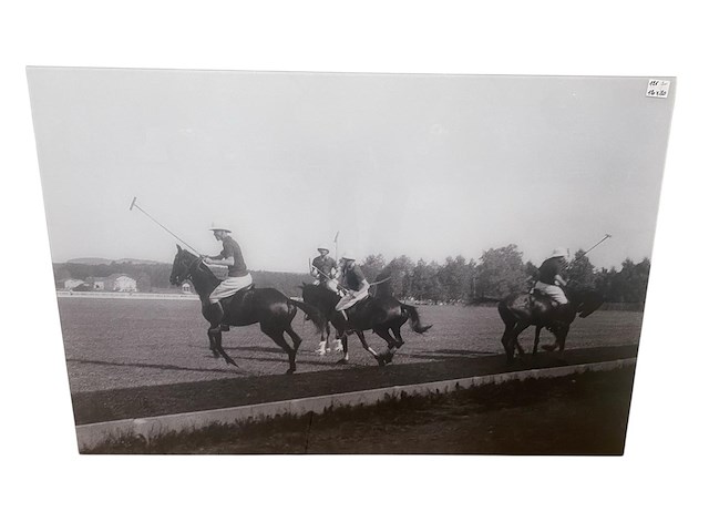 Cobra art - kader - 120 x 80 cm. - gn5623 - afbeelding 1 van  3