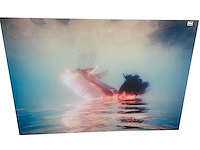 Cobra art - kader - 150 x 100 cm. - gn5192