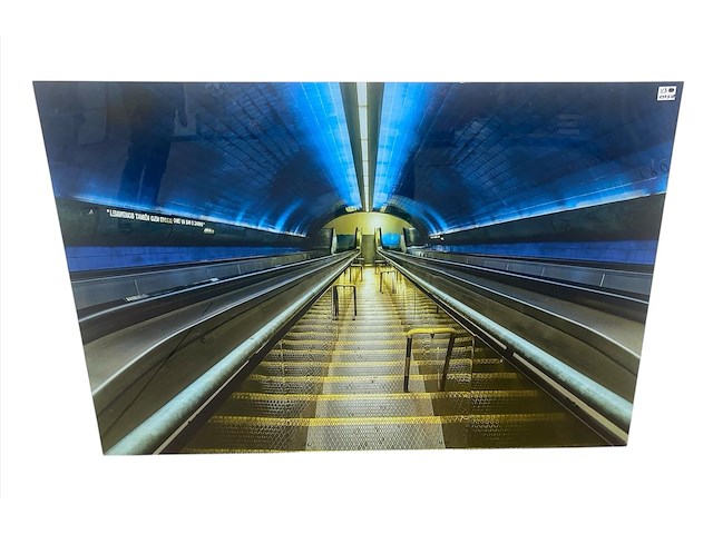 Cobra art - kader - 150 x 100 cm. - gn7321 - afbeelding 1 van  3