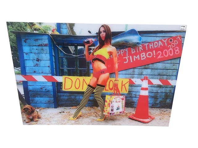 Cobra art - kader - 150 x 100 cm.- gn4072 - afbeelding 1 van  3