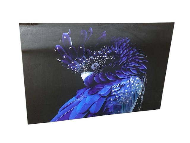 Cobra art - "mystieke blauwe kaketoe" - afbeelding 1 van  2