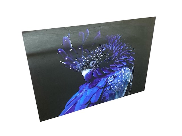 Cobra art - "mystieke blauwe kaketoe" - afbeelding 2 van  2