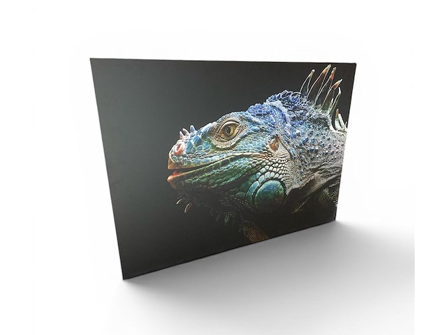 Cobra art - steelborn iguana - afbeelding 1 van  4