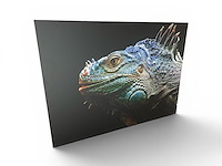 Cobra art - steelborn iguana - afbeelding 1 van  4