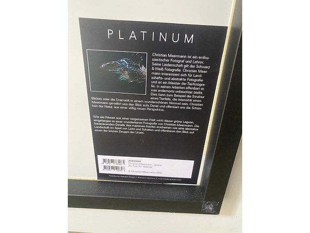 Cobra art - steelborn iguana - afbeelding 3 van  4