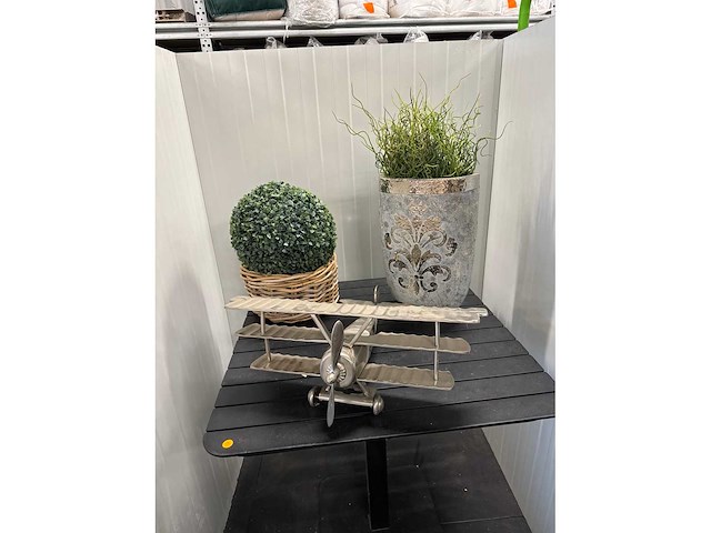 Collectible vliegtuig en planten - afbeelding 1 van  3