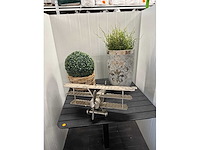Collectible vliegtuig en planten - afbeelding 1 van  3