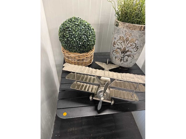 Collectible vliegtuig en planten - afbeelding 2 van  3