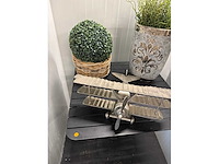 Collectible vliegtuig en planten - afbeelding 2 van  3
