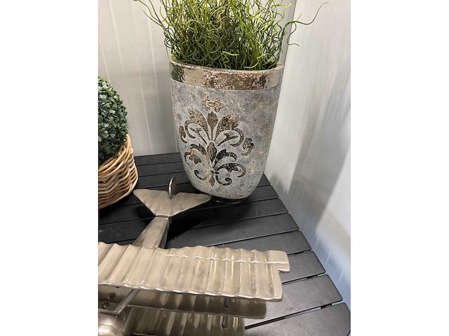 Collectible vliegtuig en planten - afbeelding 3 van  3