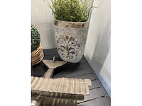 Collectible vliegtuig en planten - afbeelding 3 van  3