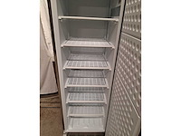 Combisteel - 2023 - vriezer - afbeelding 3 van  5