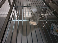 Combisteel - koelwerkbank - afbeelding 5 van  7