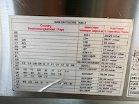 Combisteel dubbele gasfriteuse friteuse op gas - afbeelding 11 van  11