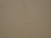 Comfee luchtontvochtiger 30 l - afbeelding 6 van  6