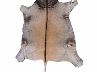 Common eland (taurotragus oryx) hide rug, 250 x 160 cm