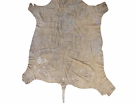 Common eland (taurotragus oryx) hide rug, 250 x 160 cm - afbeelding 2 van  2
