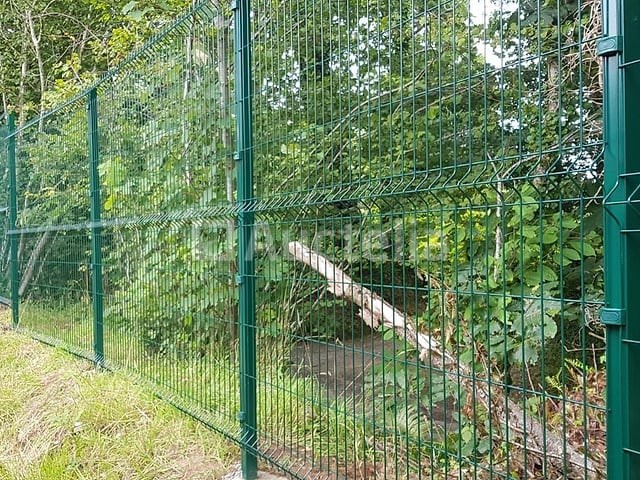 Complete 50m 3d hekkit ht 1230 ral groen 6005 - afbeelding 1 van  7