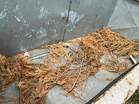 Container (6x) - afbeelding 8 van  12