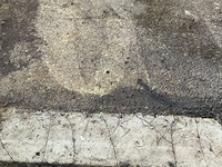 Container polarus - afbeelding 3 van  6