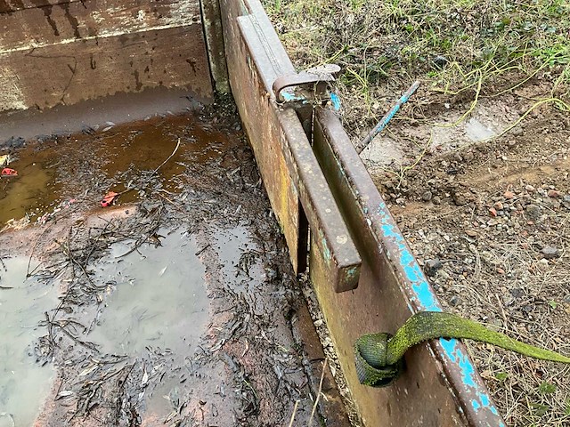 Container - afbeelding 4 van  13