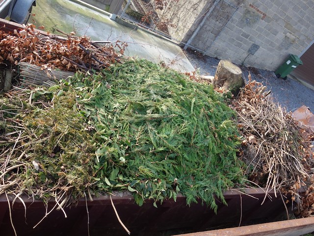 Container - afbeelding 6 van  6