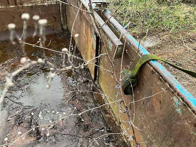 Container - afbeelding 3 van  13